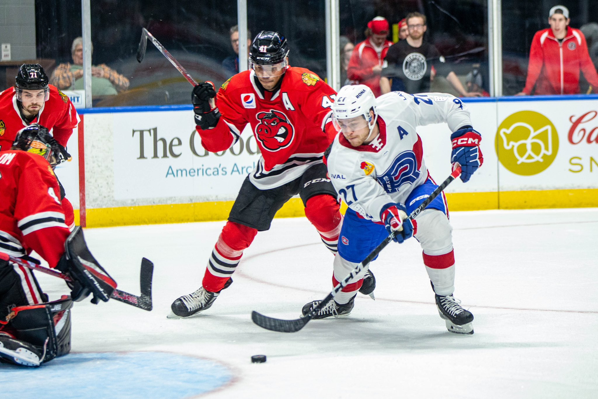Confirmé: Le Rocket de Laval aura du renfort avec le retour de Mitchell Stephens