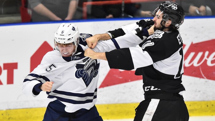 Une année record pour la baisse drastique des combats dans la LHJMQ