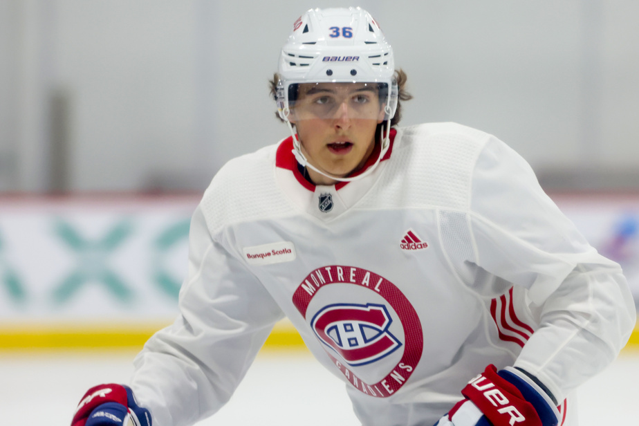 Deux dépisteurs de la LNH sont impressionnés par David Reinbacher