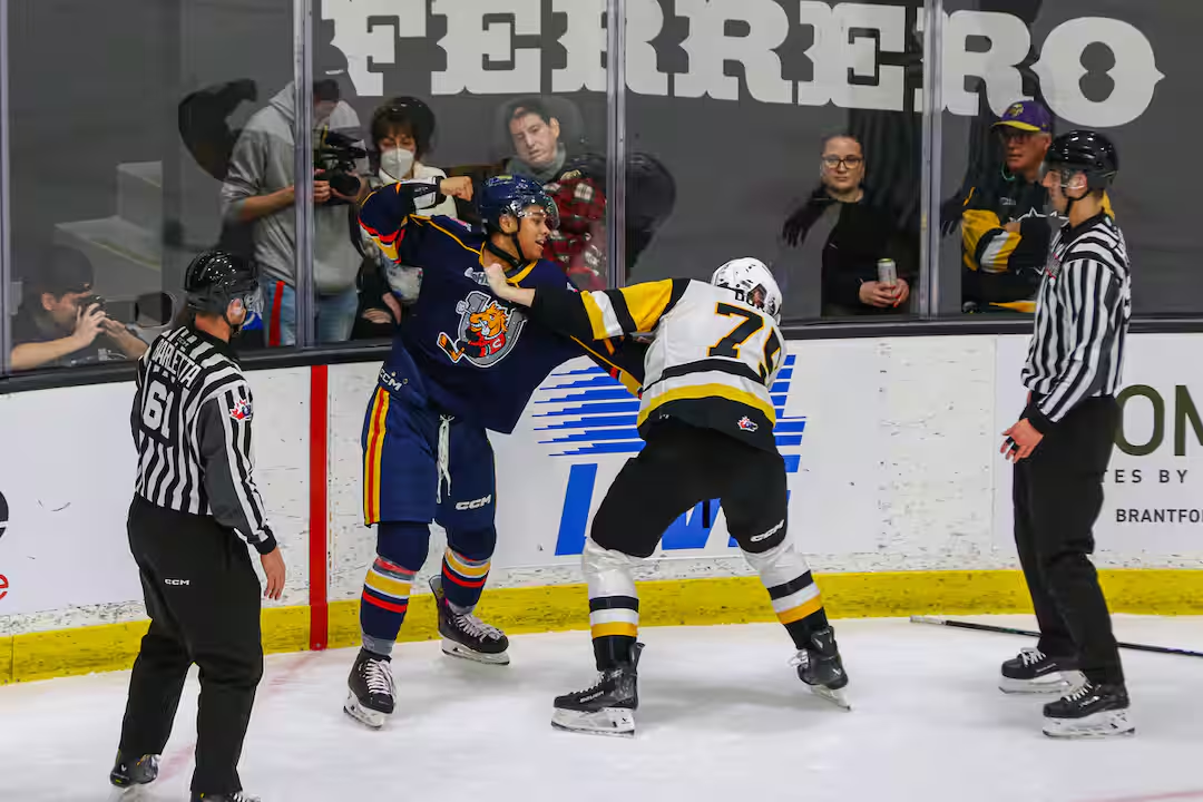 Une deuxième licorne avec le Canadien de Montréal?
